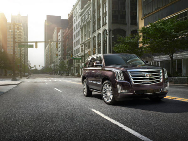 Star Luxury Cars Cadillac Escalade Platinum Las Vegas 2023