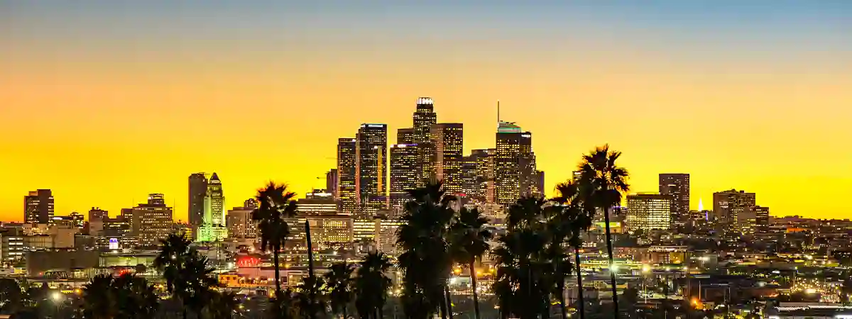 Los Angeles City