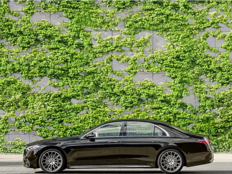 A side-profile view of a polished black Mercedes-Benz S-Class parked against a modern gray stone wall covered in lush green climbing ivy, highlighting the car's elegant silhouette and multi-spoke alloy wheels.