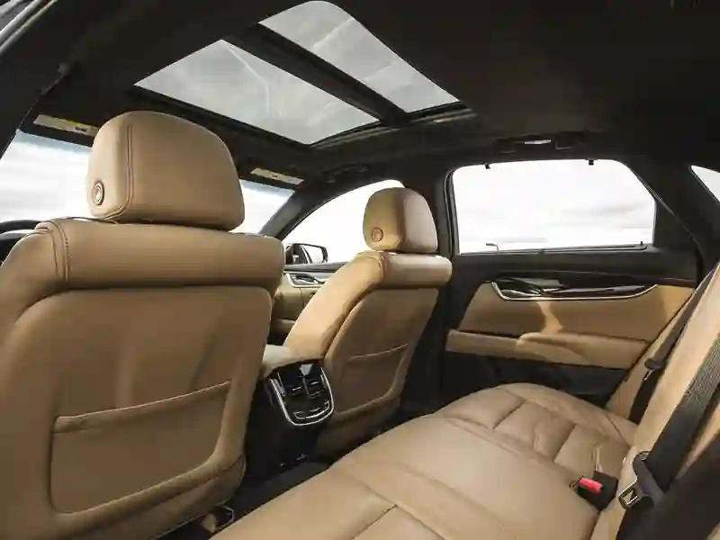 Back of the interiors in beige colour