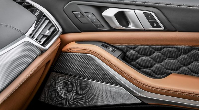 BMW X6 - door-door interior