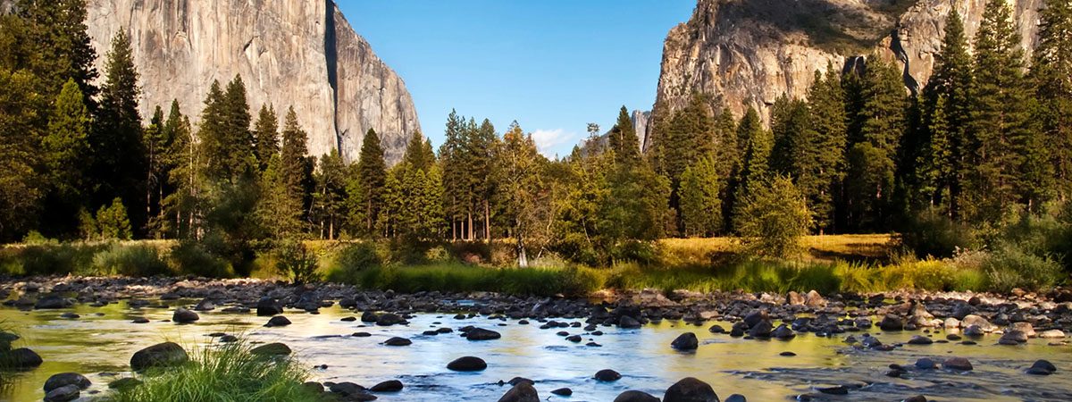 Starr Luxury Cars Hire USA