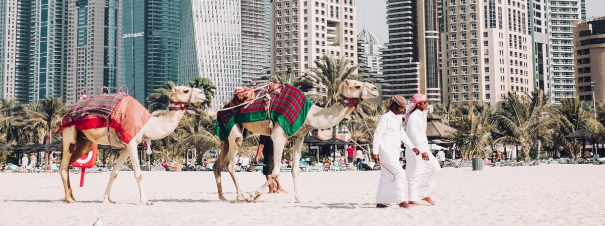 SLC-dubai-camels-amg-63-fleet-of-cars-exotic-starr-luxury-cars