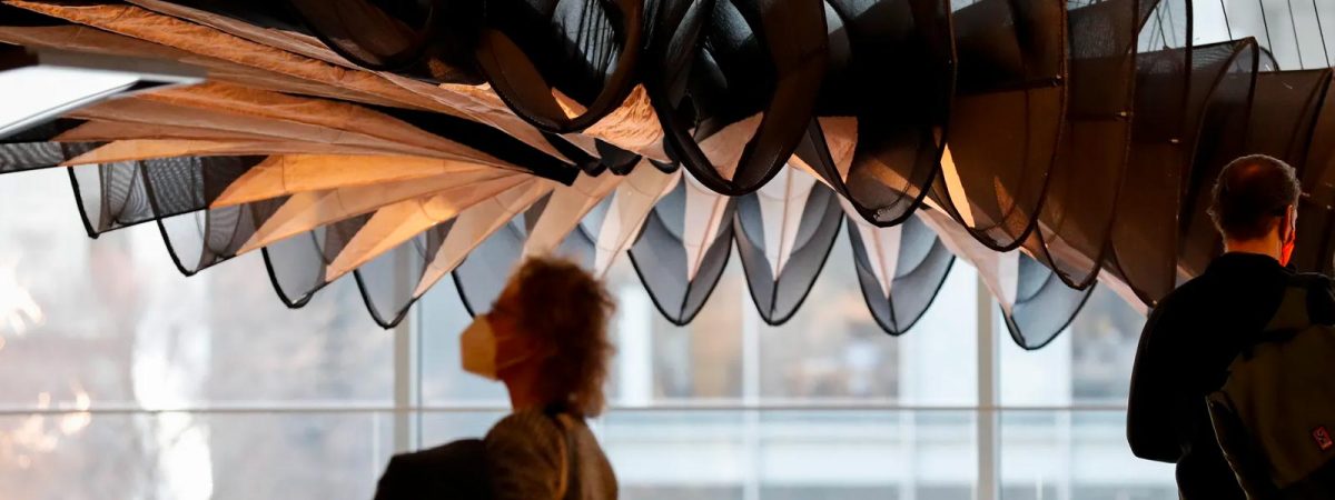 Star Luxury Cars New York Self Hire Exotic Cars 2023