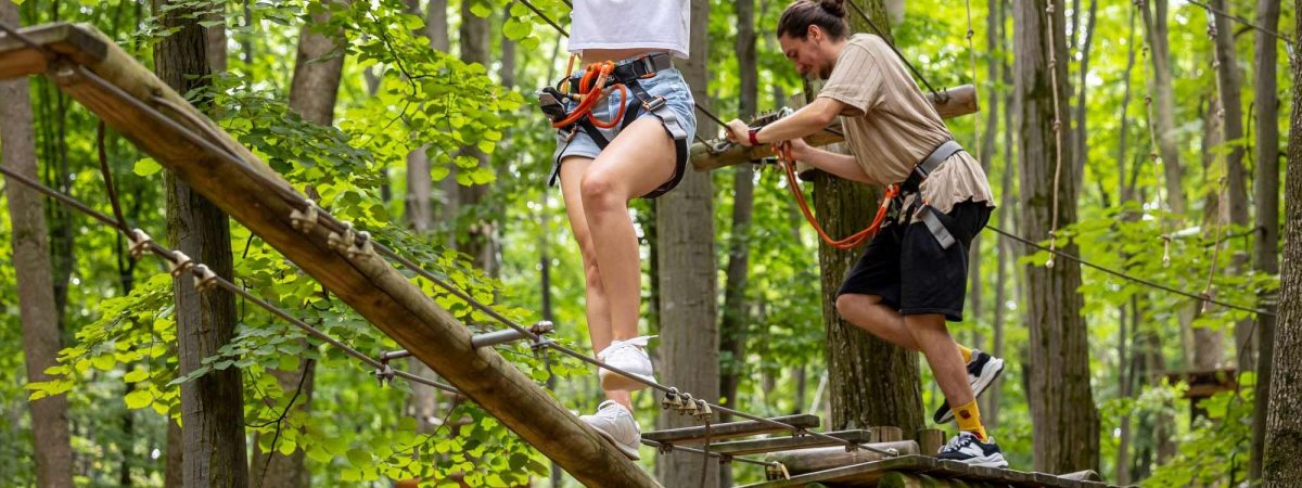 Starr Luxury Cars - SLC - The best Global Platform online Bucharest Romania - Self hire and Chauffeur Service Super Exotic Cars.