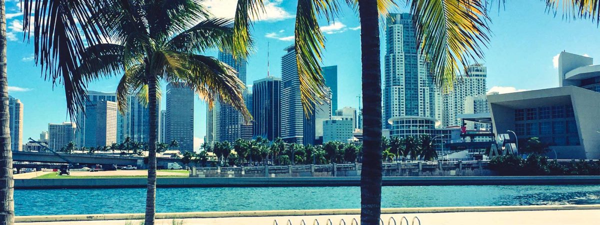 SLC - Starr Luxury Cars, Self Drive and Chauffeur Service VIP Services in Palm Beach