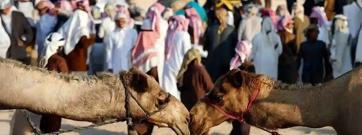 SLC - Starr Luxury Cars hire in UAE an exotic Supercar