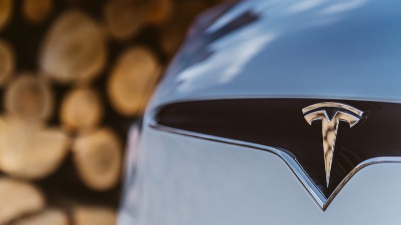 TESLA MODEL X Grill crest