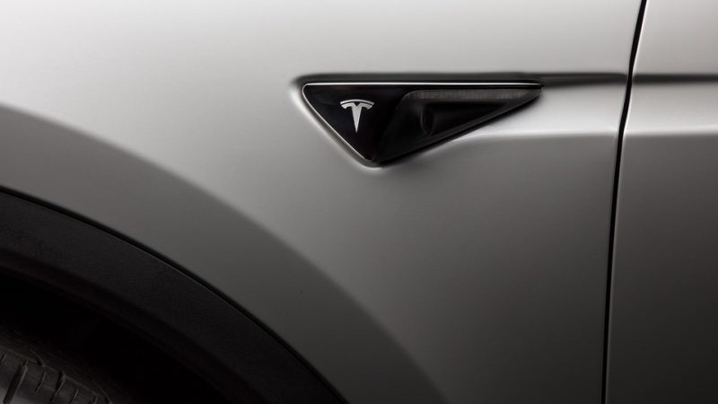 TESLA MODEL X side crest