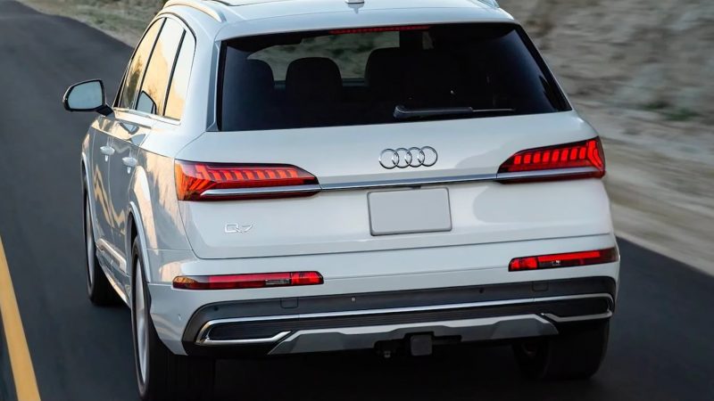 snapedit_1675437759954