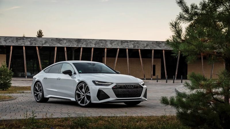 snapedit_1675441015132