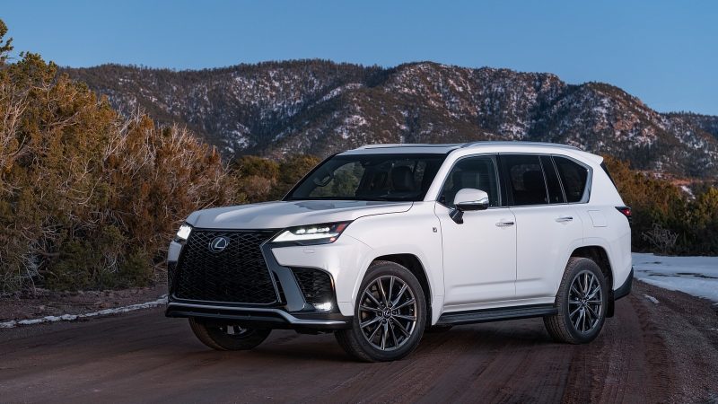 snapedit_1676642404160