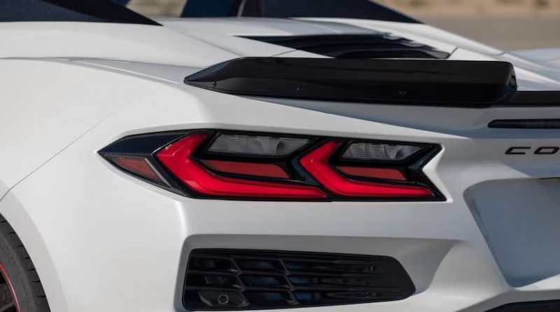 snapedit_1677148053576