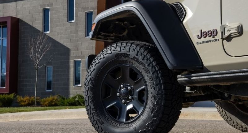 snapedit_1677167428825