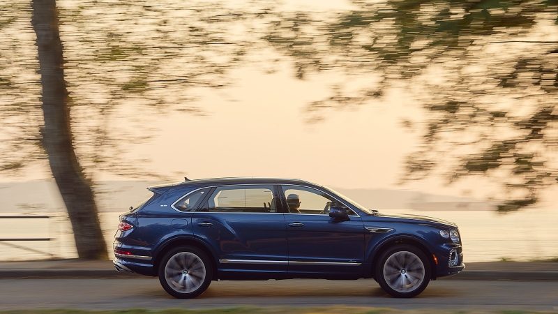 snapedit_1677847527352